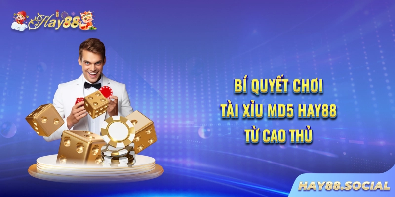 Bí quyết chơi tài xỉu MD5 Hay88 từ cao thủ