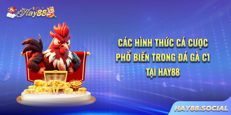 Các hình thức cá cược phổ biến trong Đá gà C1 tại Hay88