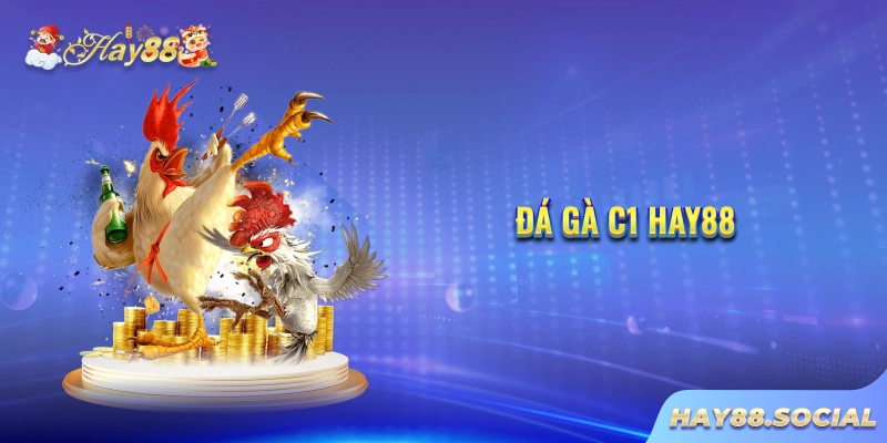 Đá gà C1 Hay88