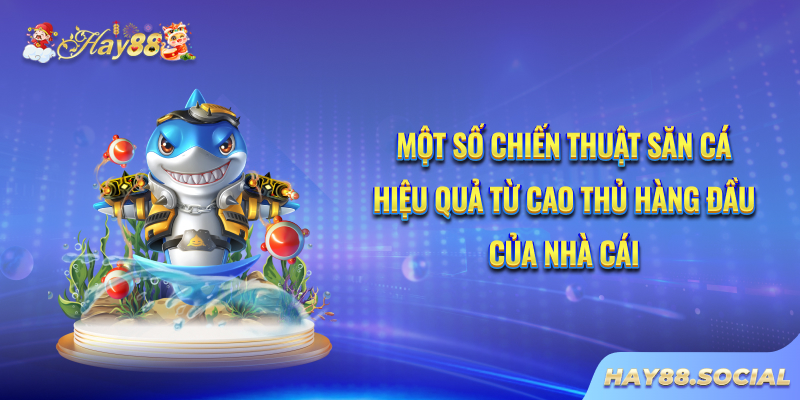 Một số chiến thuật săn cá hiệu quả từ cao thủ hàng đầu của nhà cái