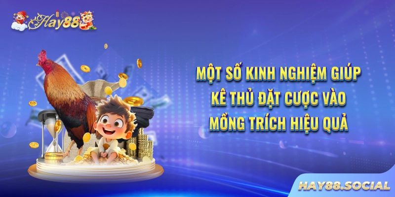 Một số kinh nghiệm giúp kê thủ đặt cược vào Mồng Trích hiệu quả