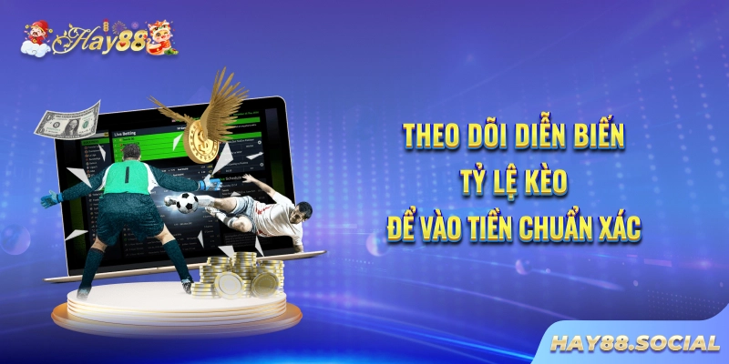 Theo dõi diễn biến tỷ lệ kèo để vào tiền chuẩn xác