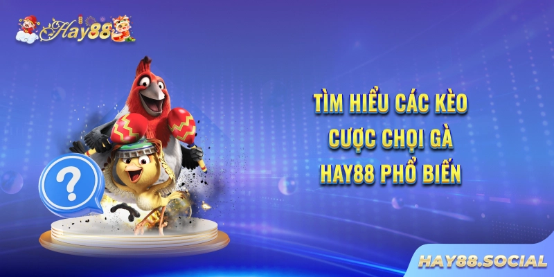 Tìm hiểu các kèo cược chọi gà Hay88 phổ biến