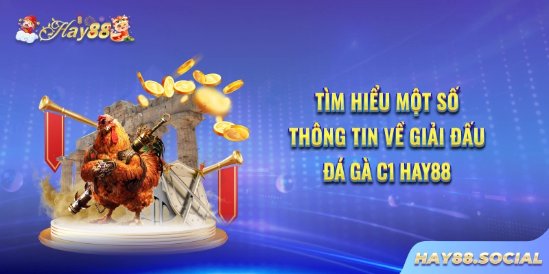 Tìm hiểu một số thông tin về giải đấu Đá gà C1 Hay88