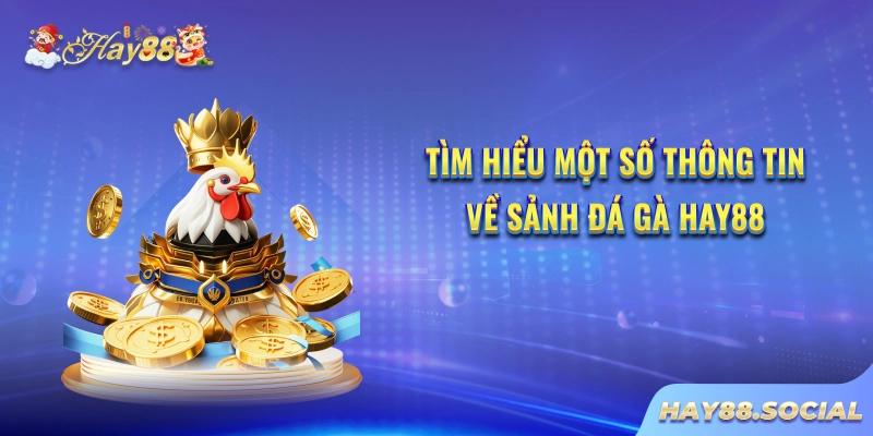Tìm hiểu một số thông tin về sảnh Đá gà Hay88