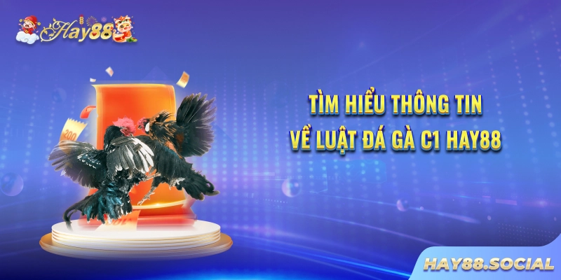 Tìm hiểu thông tin về luật Đá gà C1 Hay88