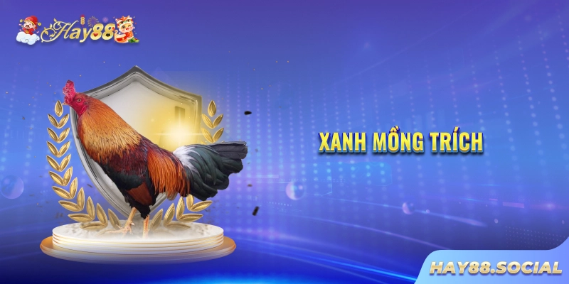 Tài Xỉu MD5 – Giải Mã Bí Mật & Chinh Phục Vận May!