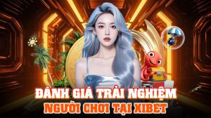 Đánh Giá Trải Nghiệm Người Chơi Tại XIBET